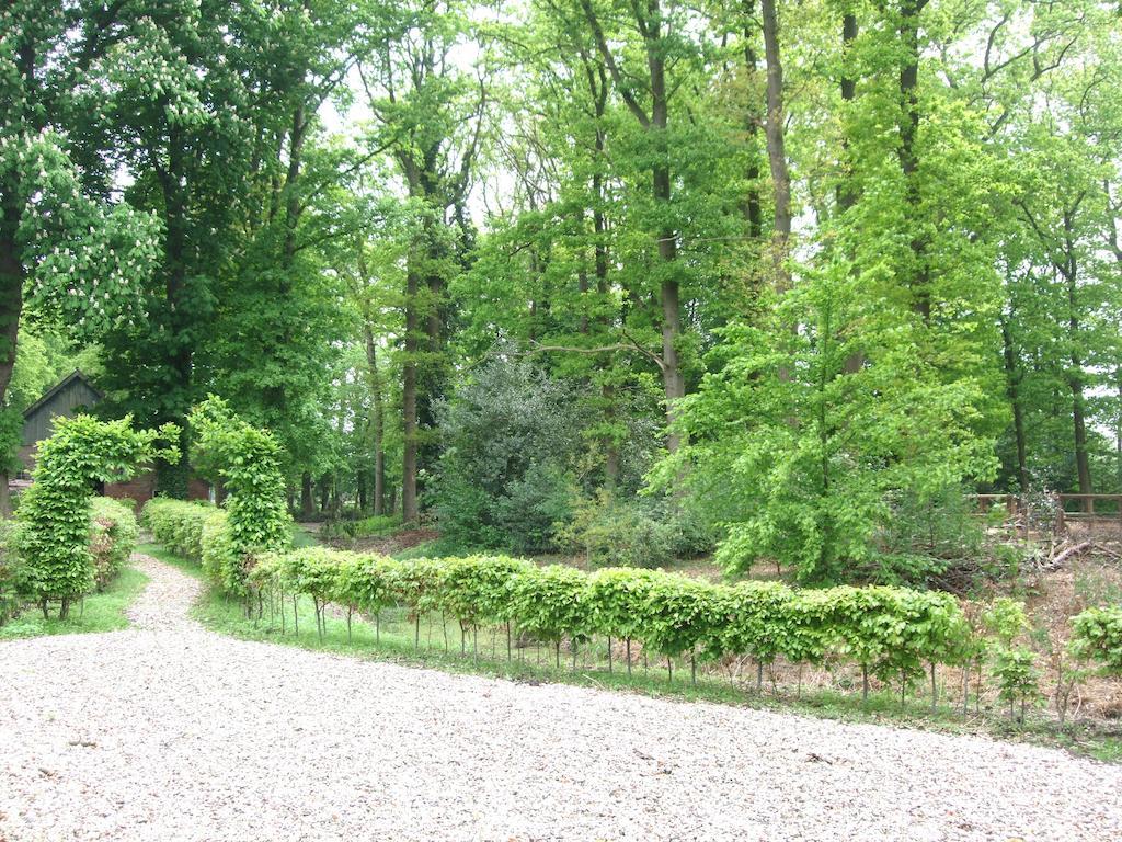 Landgoed De Lavei Bed & Breakfast Weleveld Exterior photo